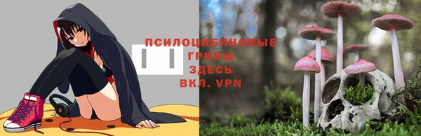 Альфа ПВП Лабытнанги