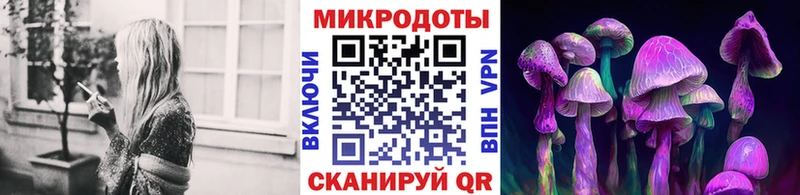 наркота  Малгобек  Галлюциногенные грибы прущие грибы 