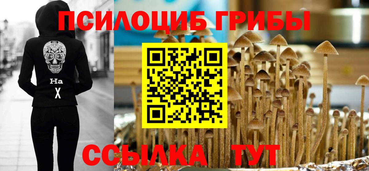 как найти наркотики  Галлюциногенные грибы мицелий  Малгобек  Вход с VPN  Псилоцибиновые грибы ЛСД 