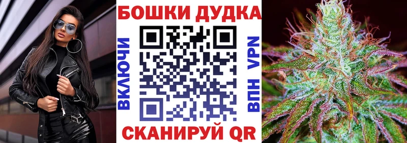 Бошки марихуана гибрид  закладки  Малгобек 